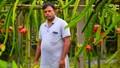 Assam Farmer Earns Over Rs 1 Crore Annually with Dragon Fruit Farming, Promotes Sustainable Agriculture