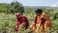 How Gender-Inclusive Agritech Is Empowering Women Farmers