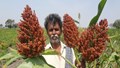 Karnataka Farmer Earns Up to Rs 7 Lakhs Through Zero-Budget Integrated Farming, Wins National Award