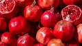 APEDA Facilitates India’s First Sea Shipment of 12.26 Tons of Premium Pomegranates to Australia