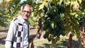 Rajasthan Farmer Achieves Success in Organic Papaya Farming by Embracing ‘Panch Tatva’ Principles for Sustainable Growth