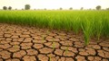 Hidden Cracks Policymakers Must Fix: A Blueprint for Sustainable and Resilient Indian Agriculture