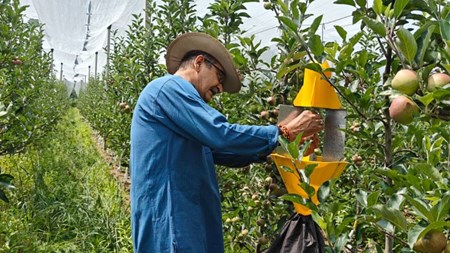 From Serving the Nation to Serving the Soil: Retired Army Officer Leads Organic Farming with High-Density Apple Orchard in Himachal