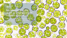 Microalgae and the Quiet Re-engineering of Modern Agriculture