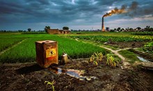India’s Farm Dilemma: Why Hazardous Pesticides Persist Despite Health and Food Safety Risks