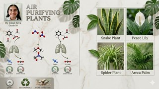 Air-Purifying Plants: Nature’s Quiet Solution for Cleaner Indoor Air