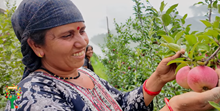 Project Unnati Apple enables a mother-daughter duo in Uttarakhand Village to build a climate-resilient apple orchard