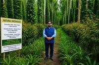 Bastar's 'Natural Greenhouse' Receives National Scientific Recognition, Offering a Nature-Based Pathway to Reduce Fertiliser Dependence, Save Foreign Exchange and Build Climate-Resilient Agriculture