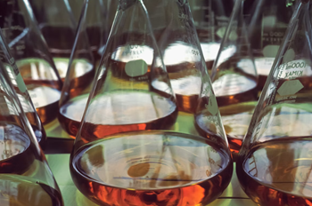 Thymalin: Immunological Signaling and Genetic Regulation Studies
