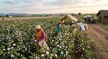 India's growing cotton import dependence calls for embracing technology and enabling policy reforms: Dr R.S. Paroda