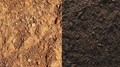 Soil vs Dirt: Understanding the Difference