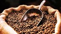 India's Coffee Exports to Rise 10% YoY on Shift to Mid-Premium Coffee & Firm Global Price