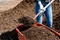 Digging In: Your Complete Guide to Making Nutrient-Rich Compost at Home