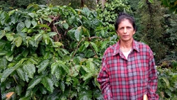 61-Year-Old Karnataka Woman Farmer Empowers 400 Women with a Vision for Sustainable, Eco-Friendly Coffee Farming