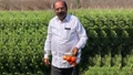  How a 10th Pass Madhya Pradesh Farmer Became Crorepati by Cultivating Vegetables