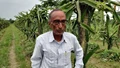 76-Year-Old Bihar Farmer Earns Crores through Smart Dragon Fruit Farming