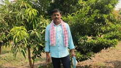 Veterinary Doctor Adopts Natural Farming, Boosting Annual Mango Farming Income to Rs. 3 Lakhs