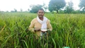 Telangana Farmer Earns Rs 1 Lakh Annually Through Kalanamak Rice Cultivation