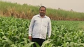 Shital Hawale’s Journey from Struggle to Earning Rs. 2.5 Lakh Through Natural Farming and Dairy