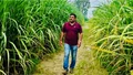 UP Sugarcane Farmer Achieves Rs 1 Crore Turnover Annually with Modern Techniques, Organic Practices, and Mechanization