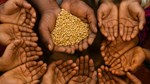 FAO Report Highlights Slow Progress on 22 SDG Indicators; 2.3 billion Face Food Insecurity