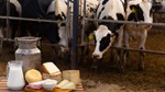Global Food Prices Ease in September, Sugar and Dairy See Decline: FAO