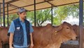 From Software Engineer to Rs 10 Crore Business: Aseem Rawat’s Journey from IT Professional to Successful Dairy Farmer and Entrepreneur