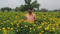 Rajasthan Farmer Earning Lakhs from Organic Marigold Farming, Annual Income Exceeds Rs 30 Lakh