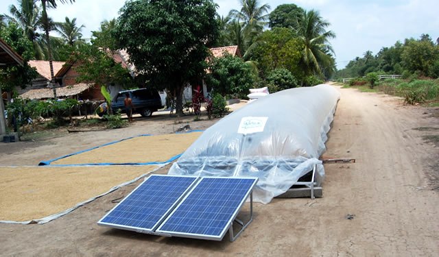 Crop Drying Technology, Solar Bubble Dryer, In India