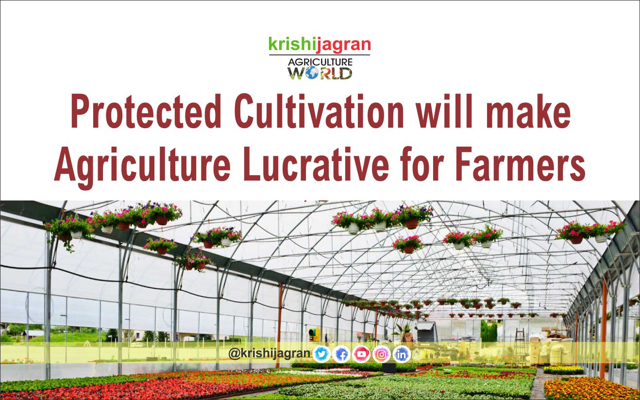 Protected Cultivation will make Agriculture Lucrative for Farmers