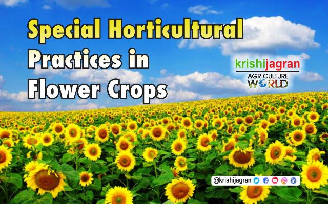 Horticulture industry in india ppt