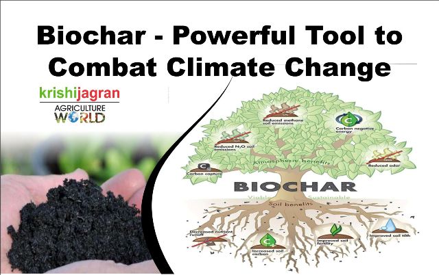 Biochar: Valuable Soil Amendment