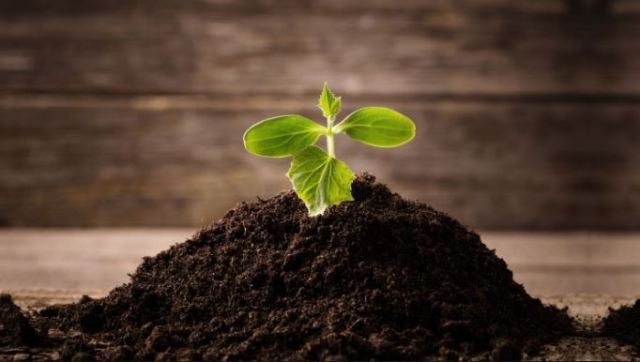 importance-of-soil-fertility-and-ways-to-improve-it