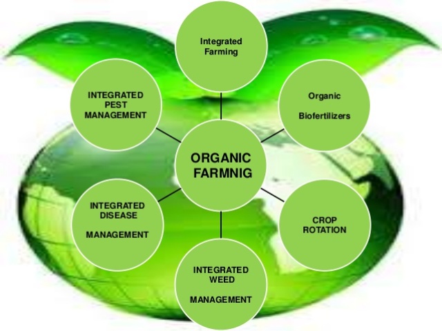Integrated Disease Management In Crops - 