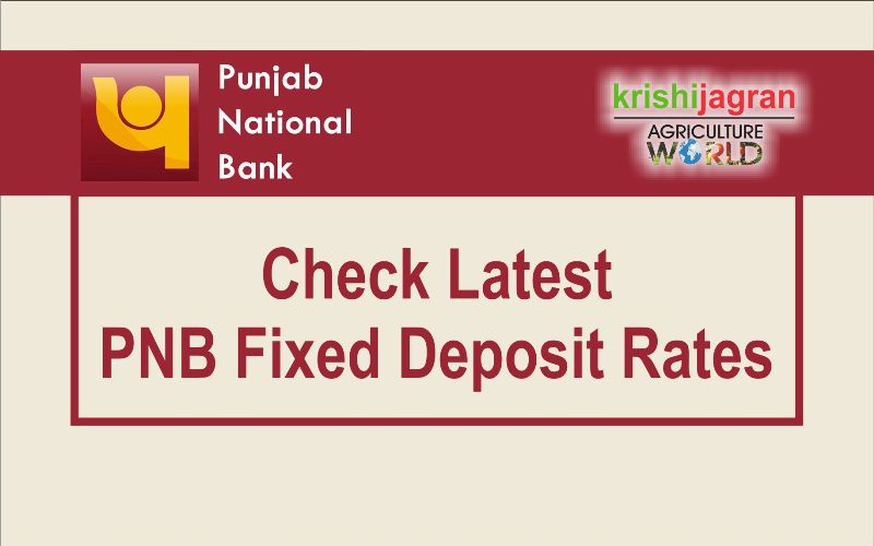 Punjab National Bank Changes Fixed Deposit (FD) Rates Again Here's