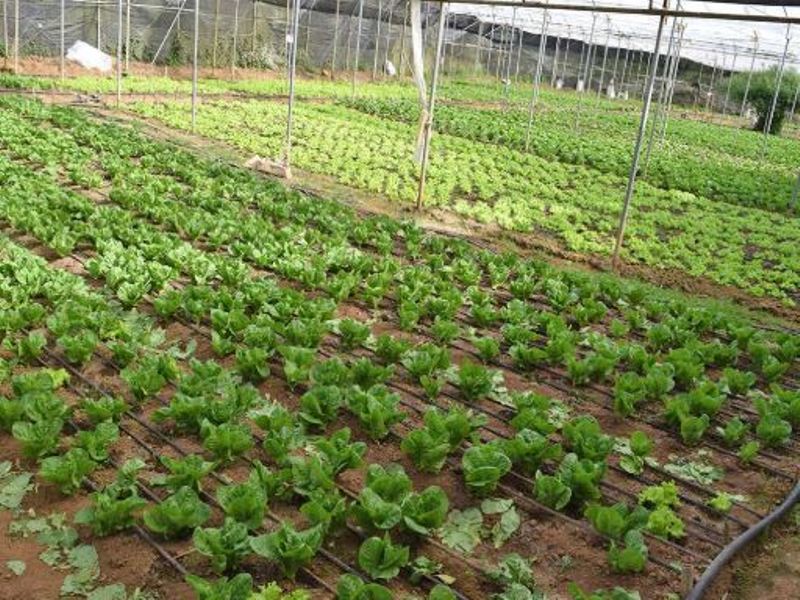 Farming 3.0 - Making Agriculture Sustainable Through Micro-Irrigation