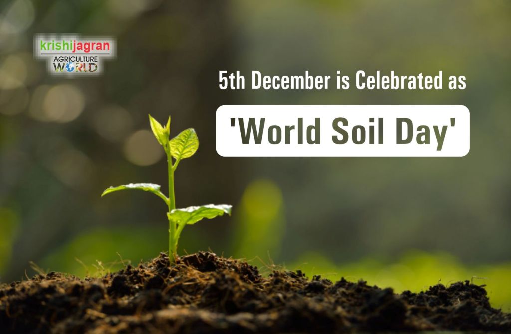 World Soil Day 2019 Let's Pledge to Stop Soil Erosion and Save Our Future