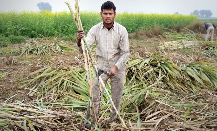 Covid-19 Impact: Nationwide Lockdown hits Sugar Mills and Payments to Farmers