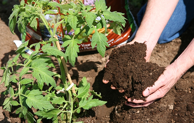 What Constitutes ORGANIC MANURE