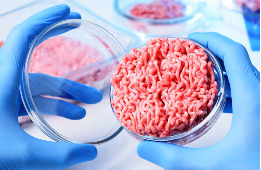 Cultured Meat; Novel Breakthrough in Cellular Agriculture