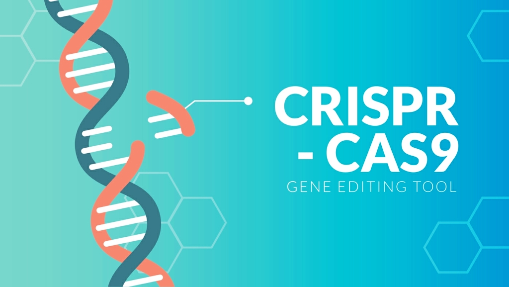 Future of CRISPR/Cas9 in Agriculture