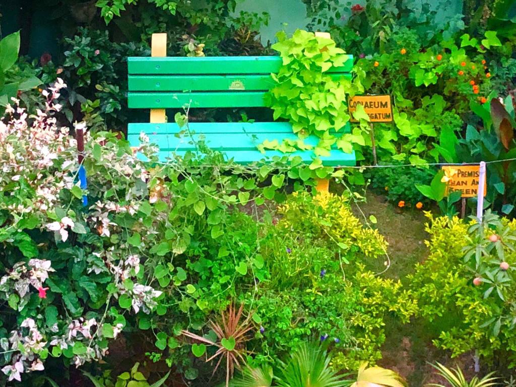 This School Principal, National Level Table Tennis Player Grows 7000 Plants & 700 Plant Varieties at his Home