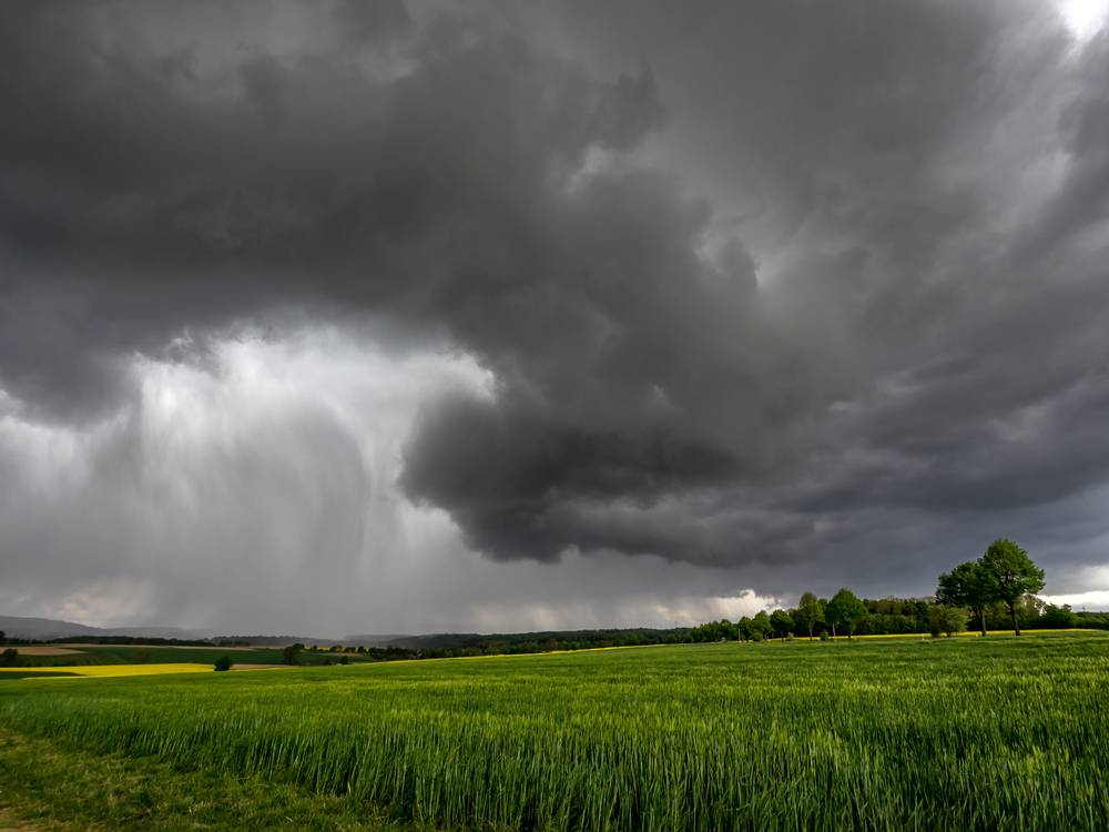 Weather Based Crop Insurance Scheme In India