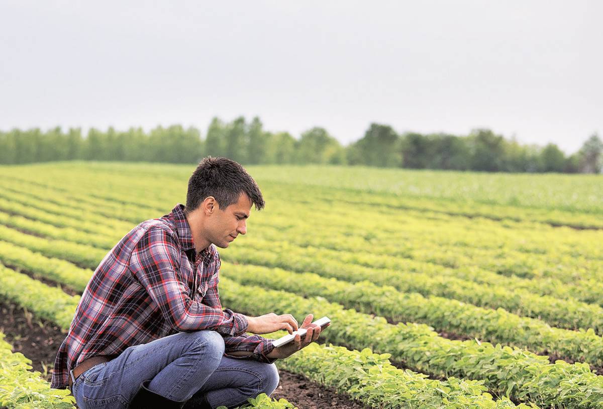 Revolutionizing India’s Agriculture Sector: How Agri-tech start-ups are empowering Farmers by digitally disrupting the Industry