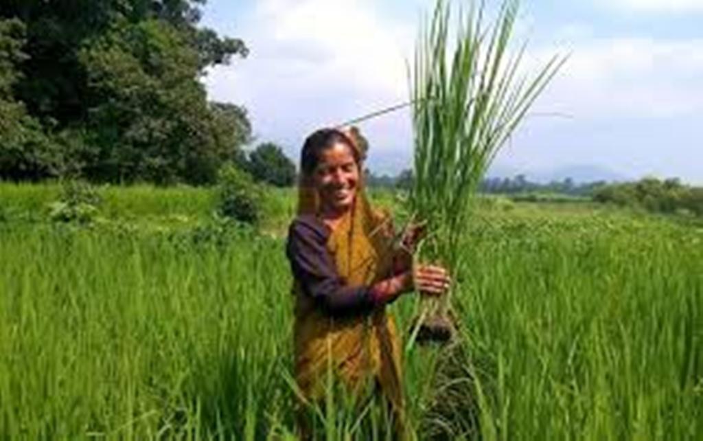 Sustainable Agriculture in Uttarakhand
