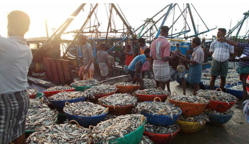 What is Pradhan Mantri Matsya Sampada Yojana?