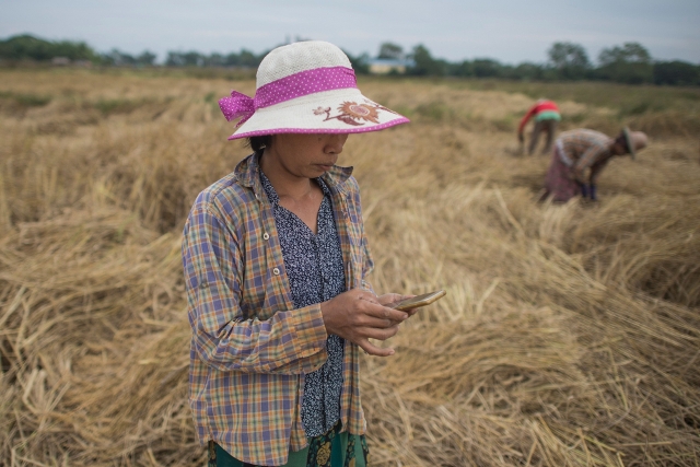 Profits Myanmar Farmers Making With Smartphone