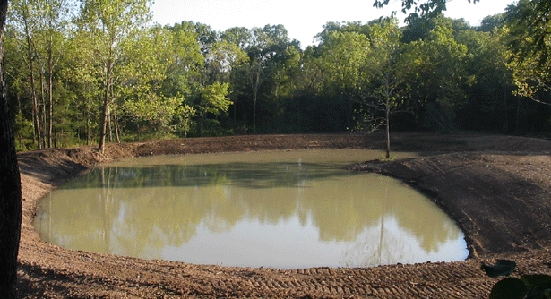 stocking pond or growing pond