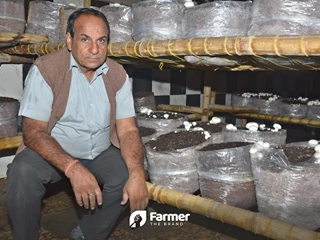 Mushroom King of Rajasthan: Meet the Farmer Who Churns a Huge Profit by Cultivating Mushrooms