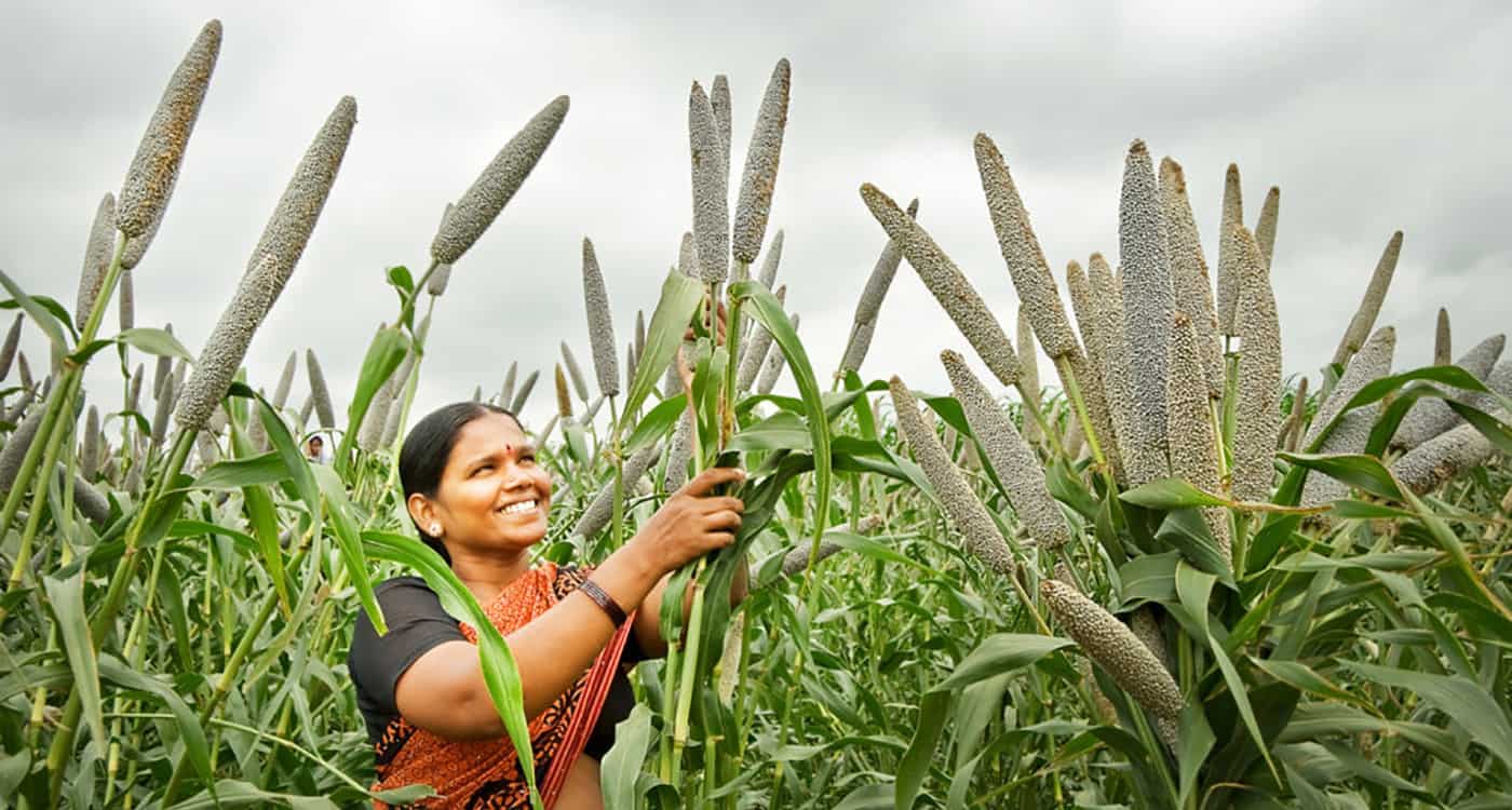 Female farmer smiling looking at her  bajra produce